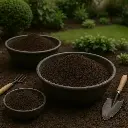 Coffee Compost