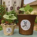 Como Plants Pots